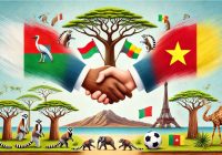 Bilateral Relationship between Cameroon and Niger